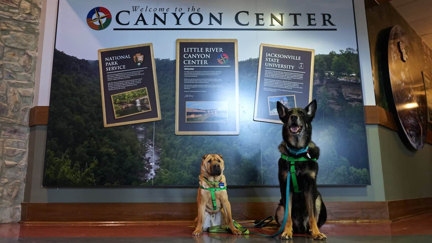 Alabama's Top Pet Friendly Attraction: Little River Canyon | GoPetFriendly.com