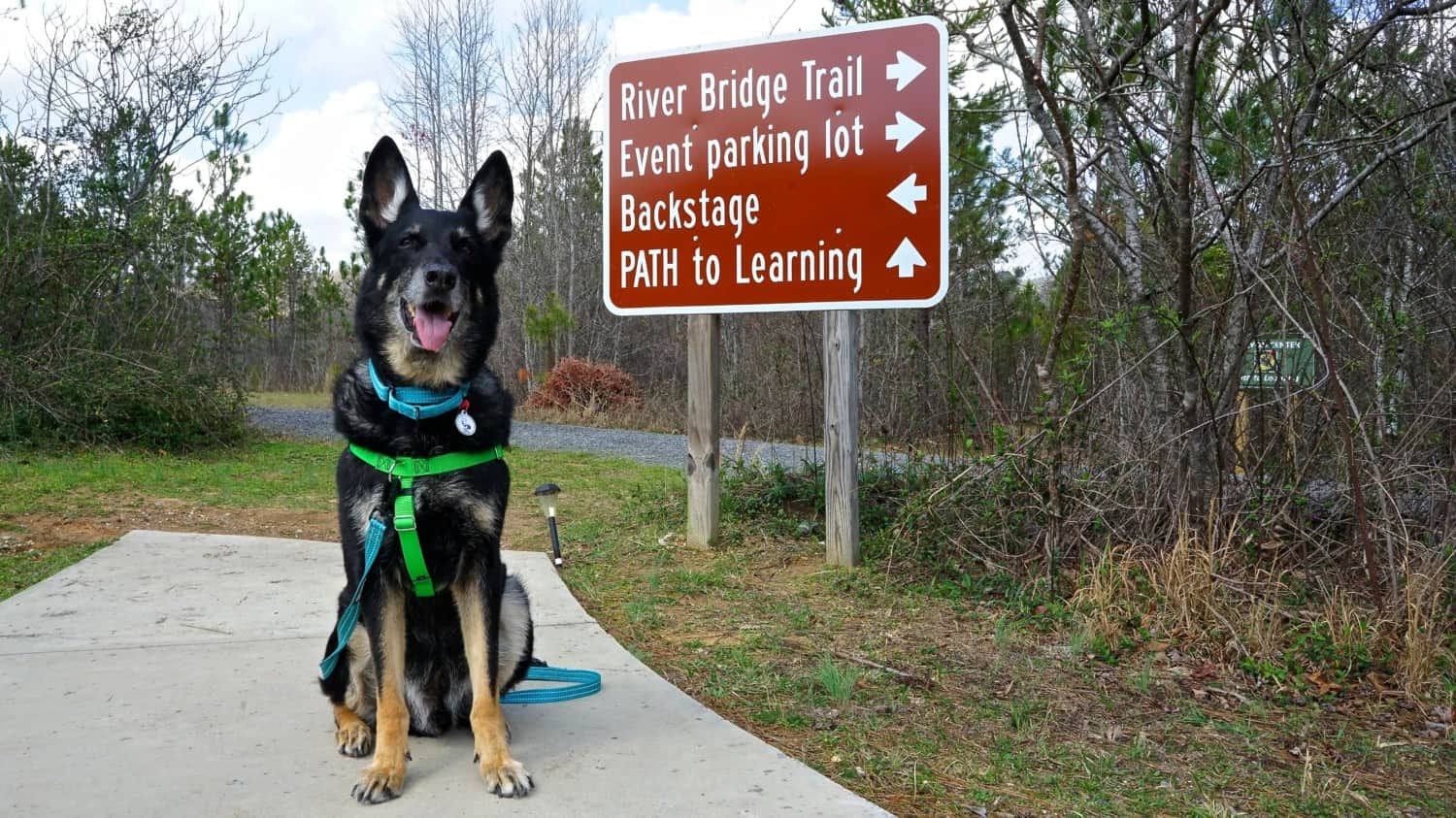 Alabama's Top Pet Friendly Attraction: Little River Canyon | GoPetFriendly.com