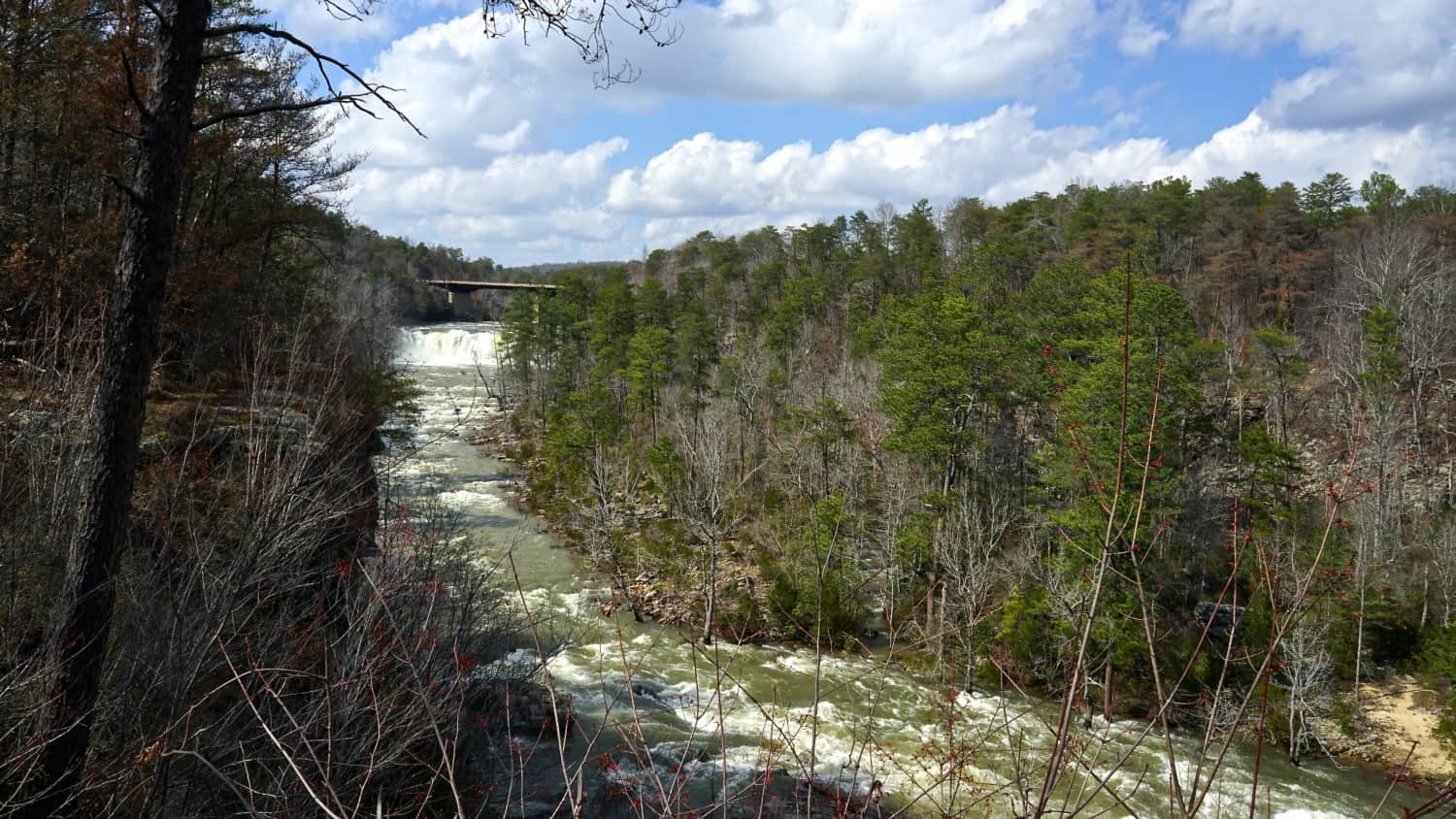 Alabama's Top Pet Friendly Attraction: Little River Canyon | GoPetFriendly.com