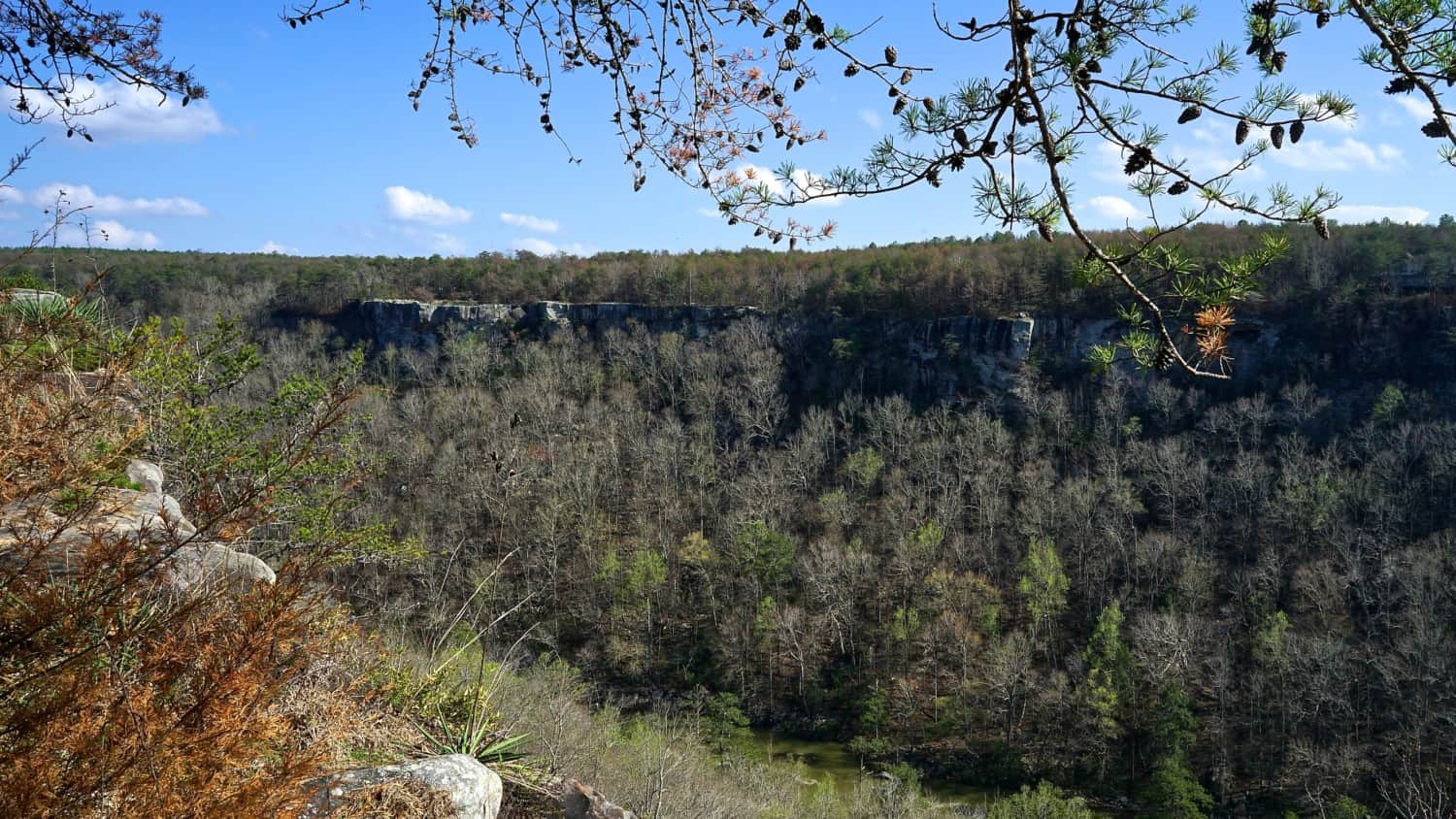 Alabama's Top Pet Friendly Attraction: Little River Canyon | GoPetFriendly.com