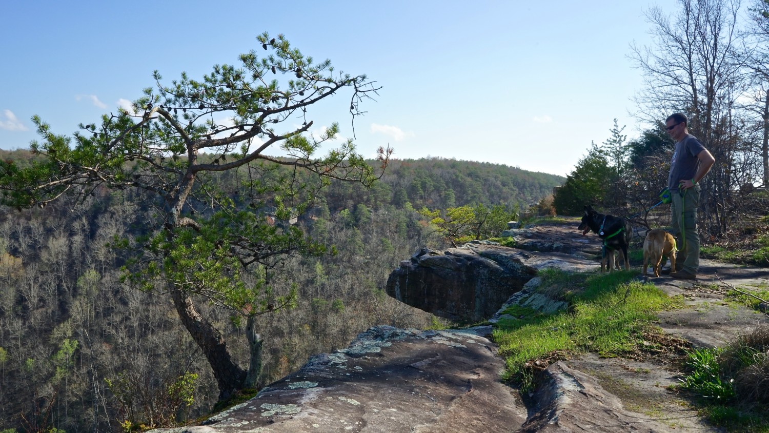 Alabama's Top Pet Friendly Attraction: Little River Canyon | GoPetFriendly.com