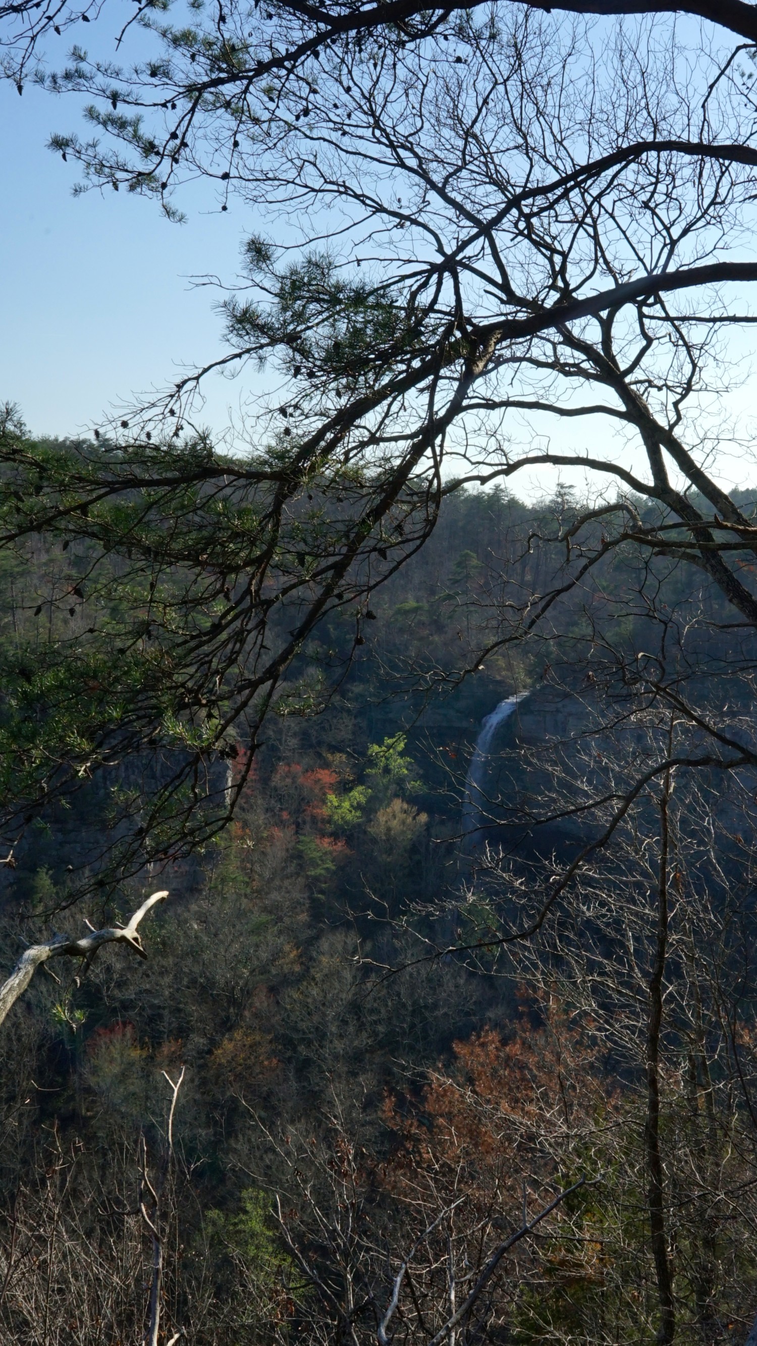 Alabama's Top Pet Friendly Attraction: Little River Canyon | GoPetFriendly.com