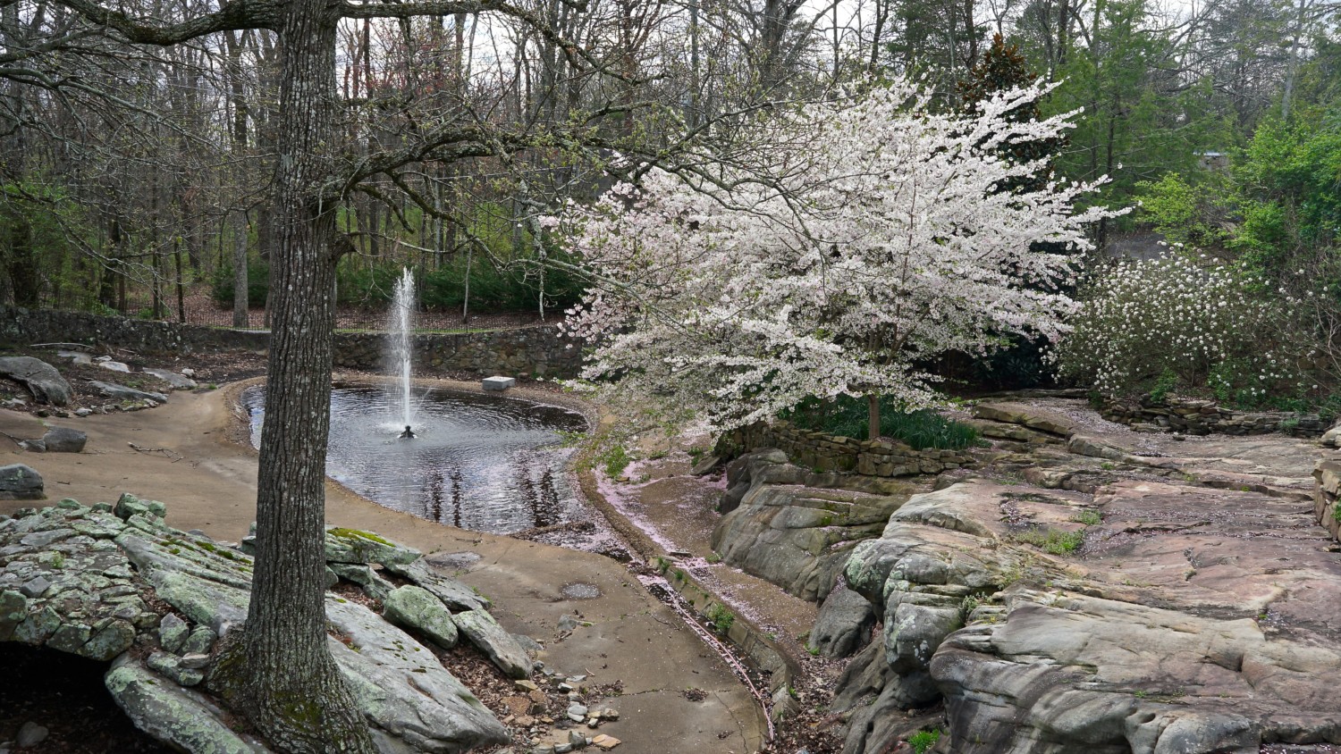 Georgia's Top Pet Friendly Attraction: Rock City Gardens | GoPetFriendly.com