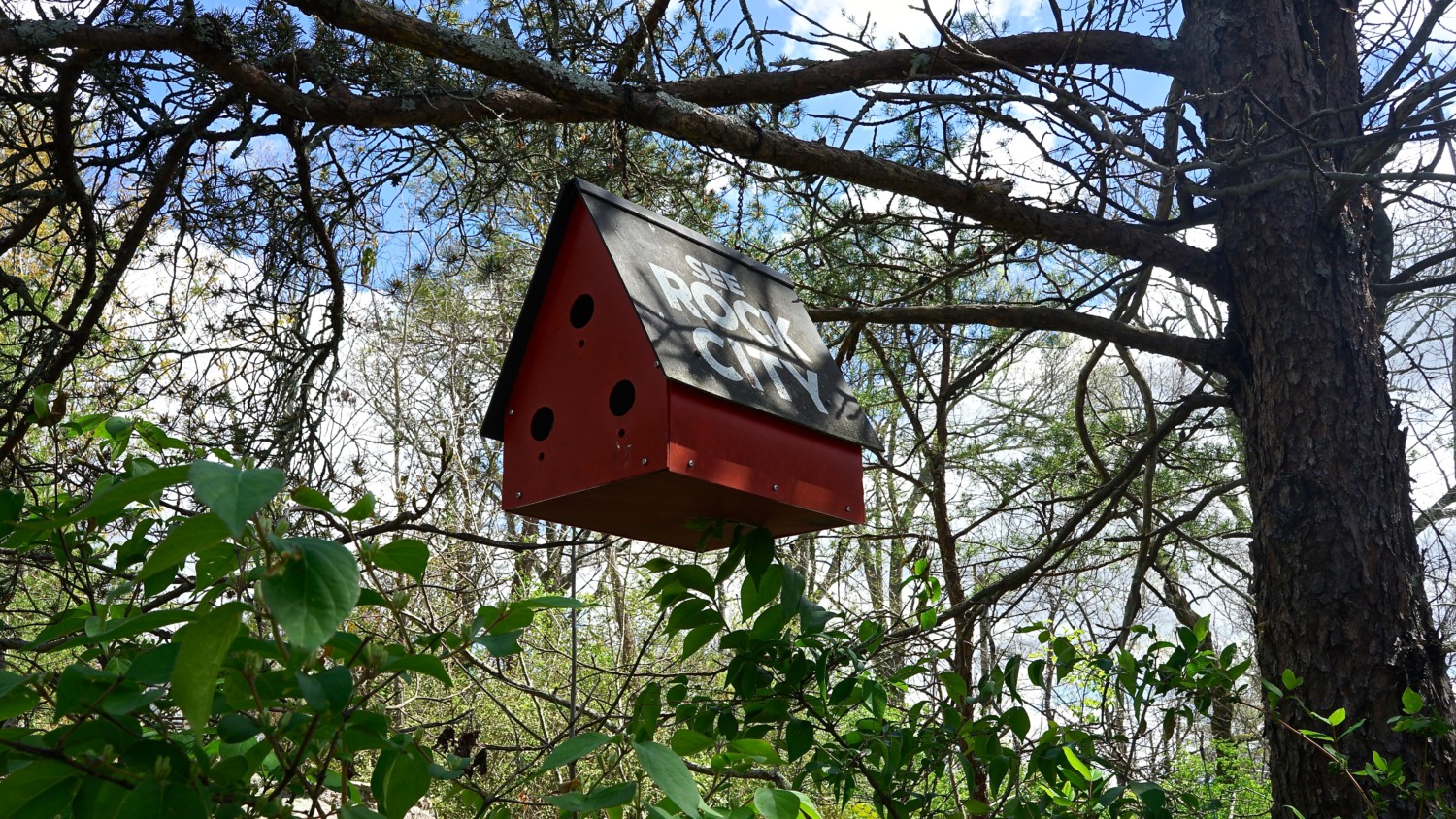 Georgia's Top Pet Friendly Attraction: Rock City Gardens | GoPetFriendly.com