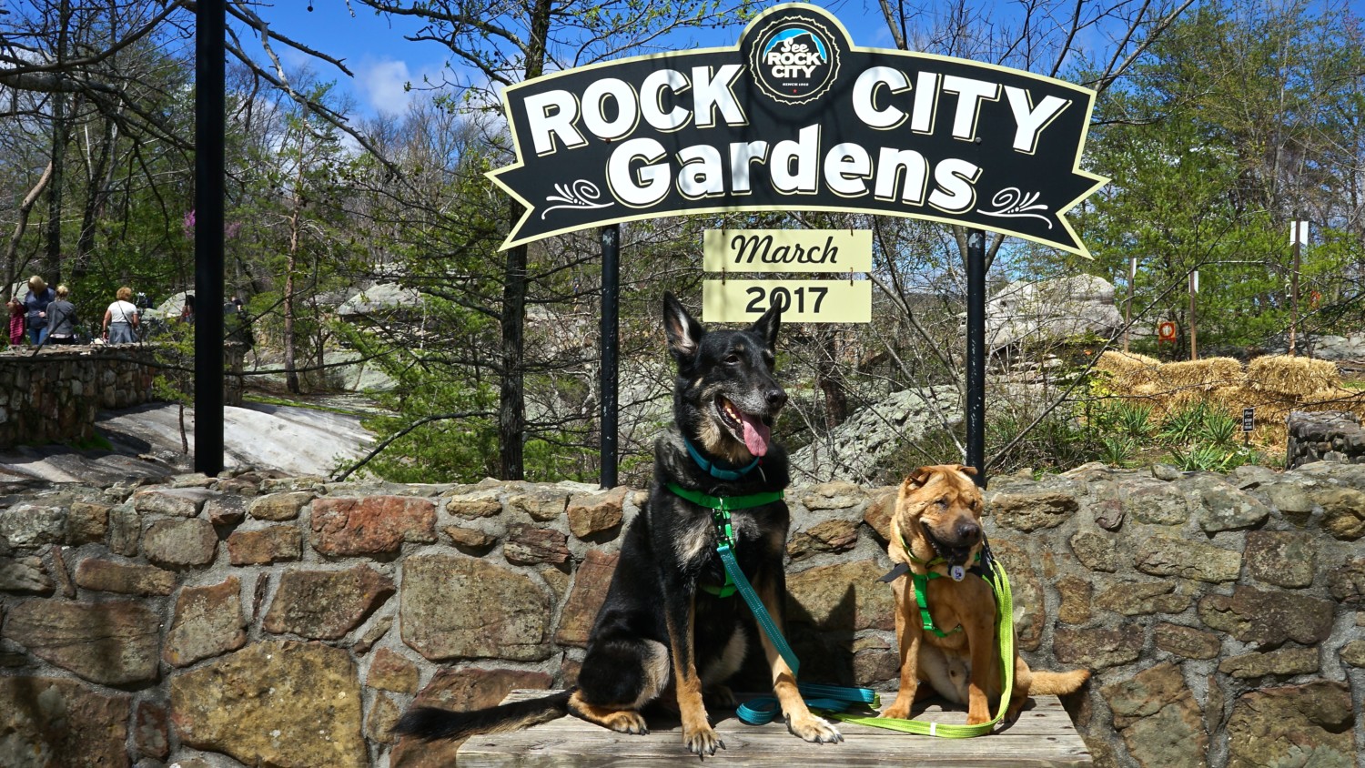 Georgia’s Top Pet Friendly Attraction: Rock City Gardens