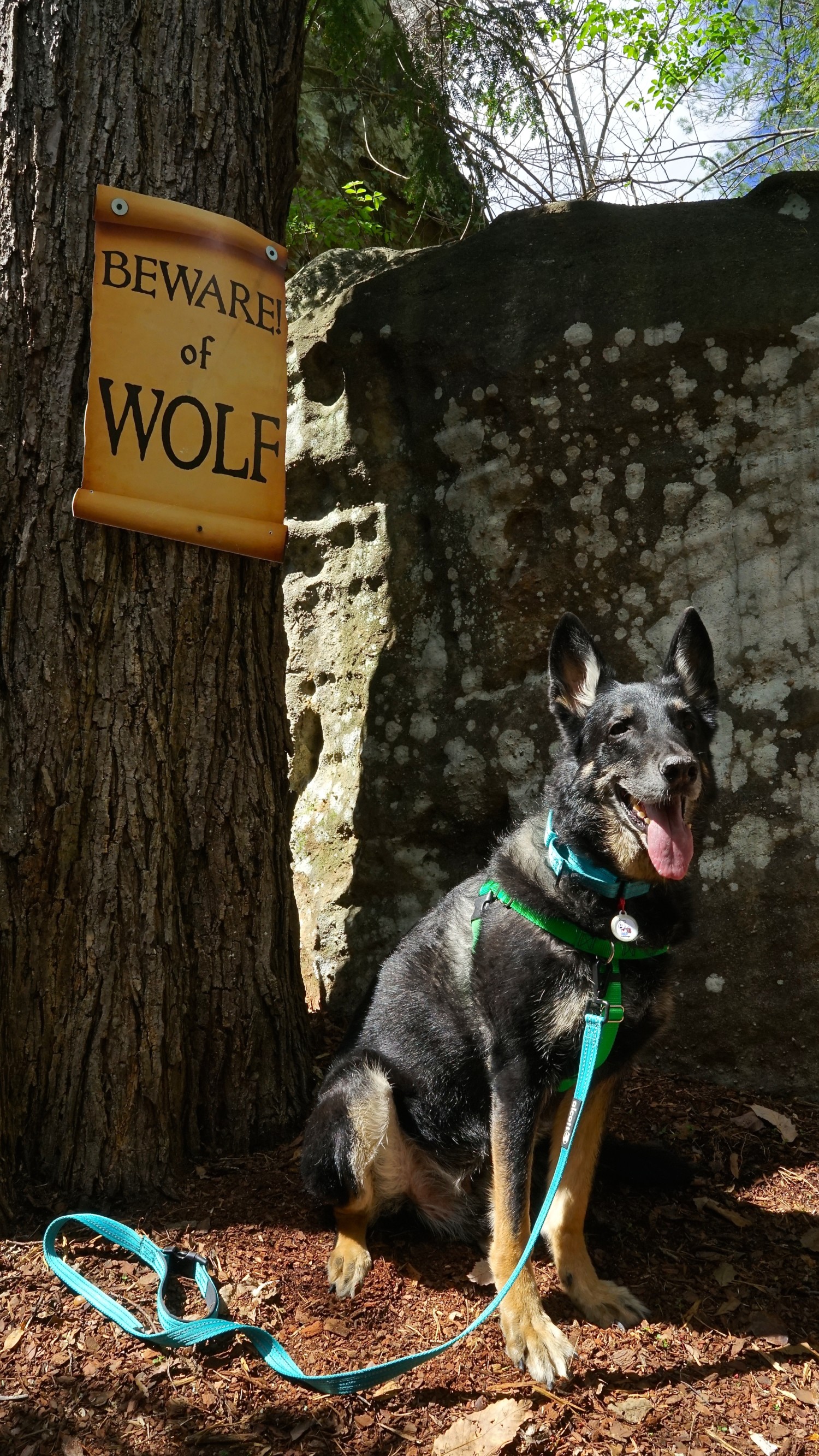 Georgia's Top Pet Friendly Attraction: Rock City Gardens | GoPetFriendly.com