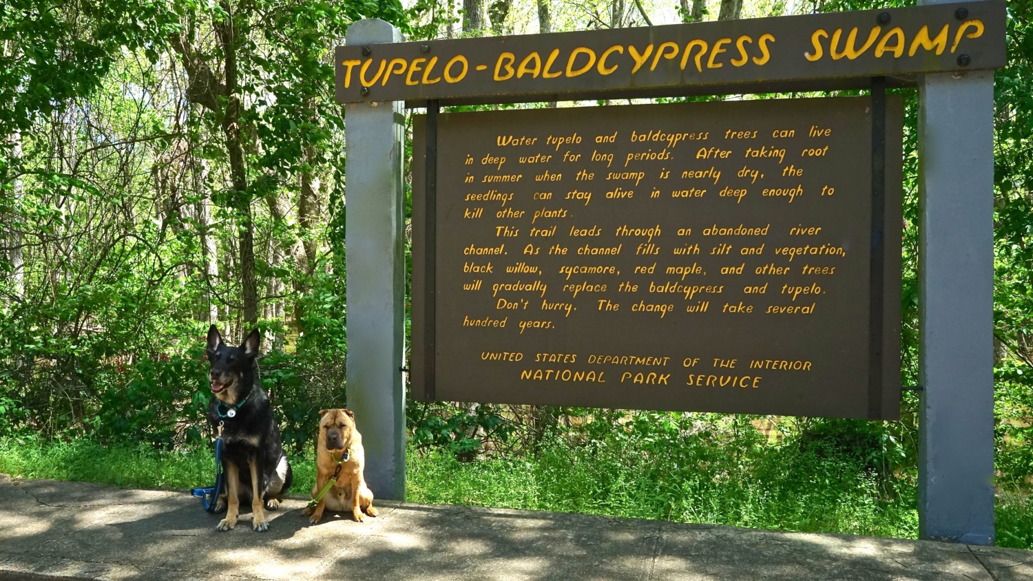 Mississippi's Top Pet Friendly Attraction: The Natchez Trace | GoPetFriendly.com