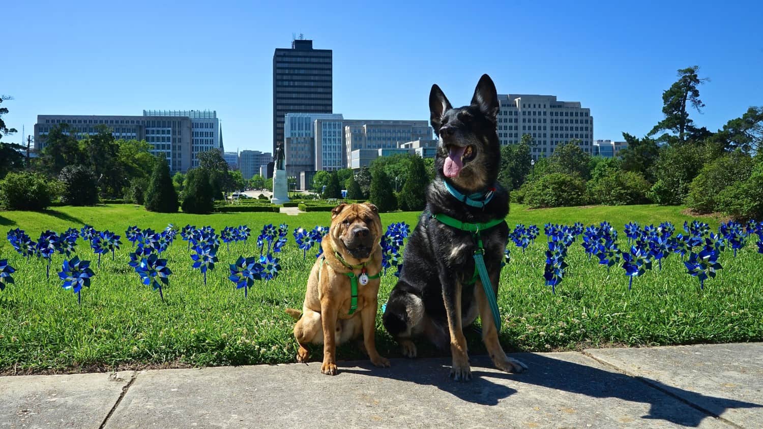 Louisiana's Top Pet Friendly Attraction: State Capitol Grounds