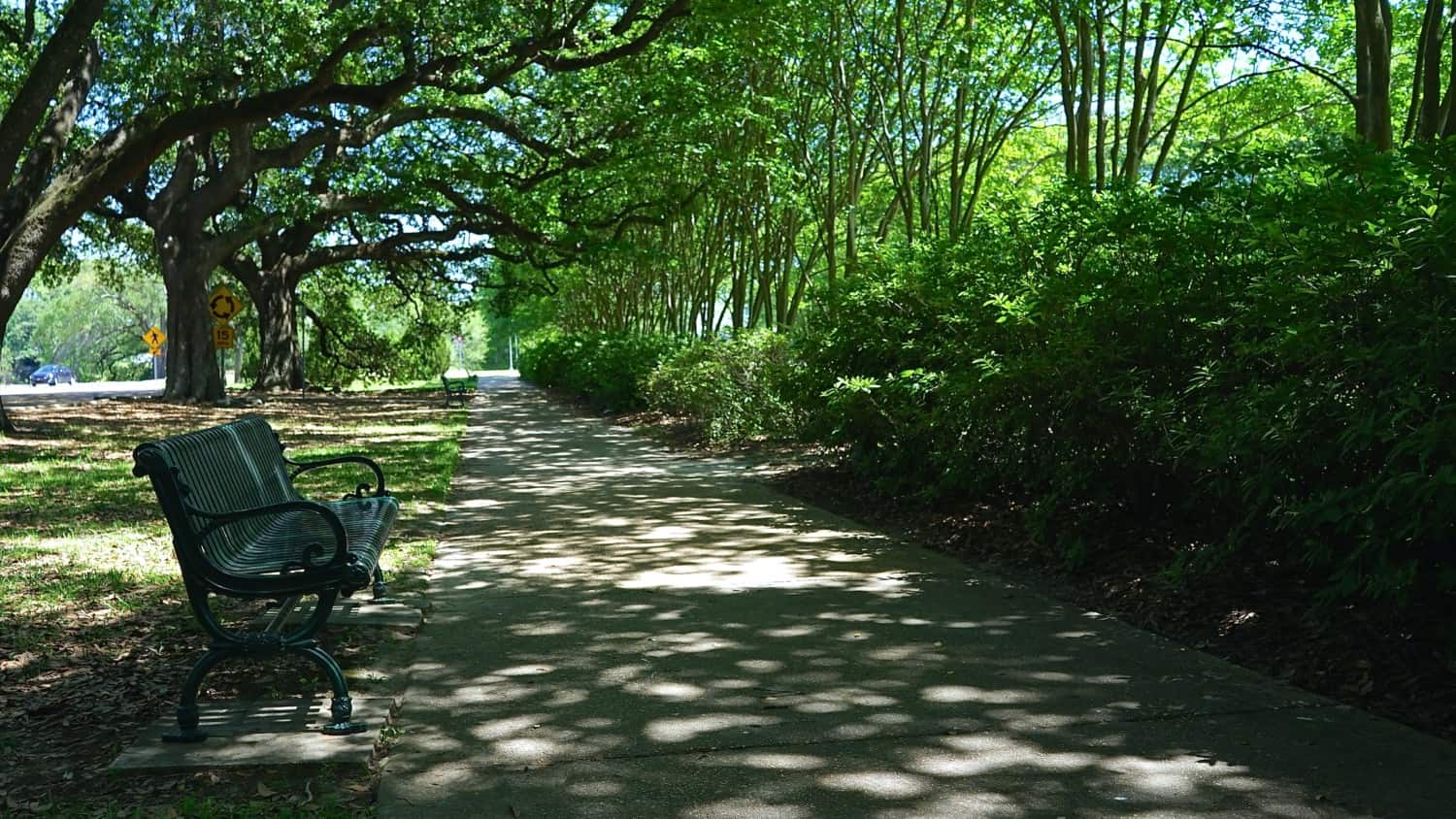 Louisiana's Top Pet Friendly Attraction: State Capitol Grounds