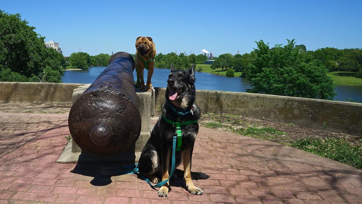 Louisiana's Top Pet Friendly Attraction: State Capitol Grounds