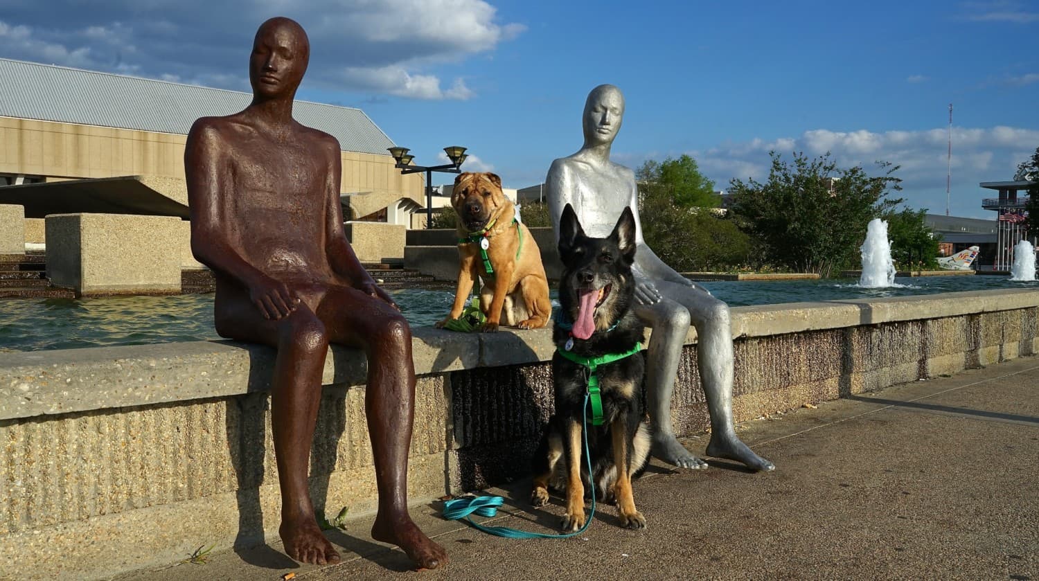 Louisiana's Top Pet Friendly Attraction: State Capitol Grounds