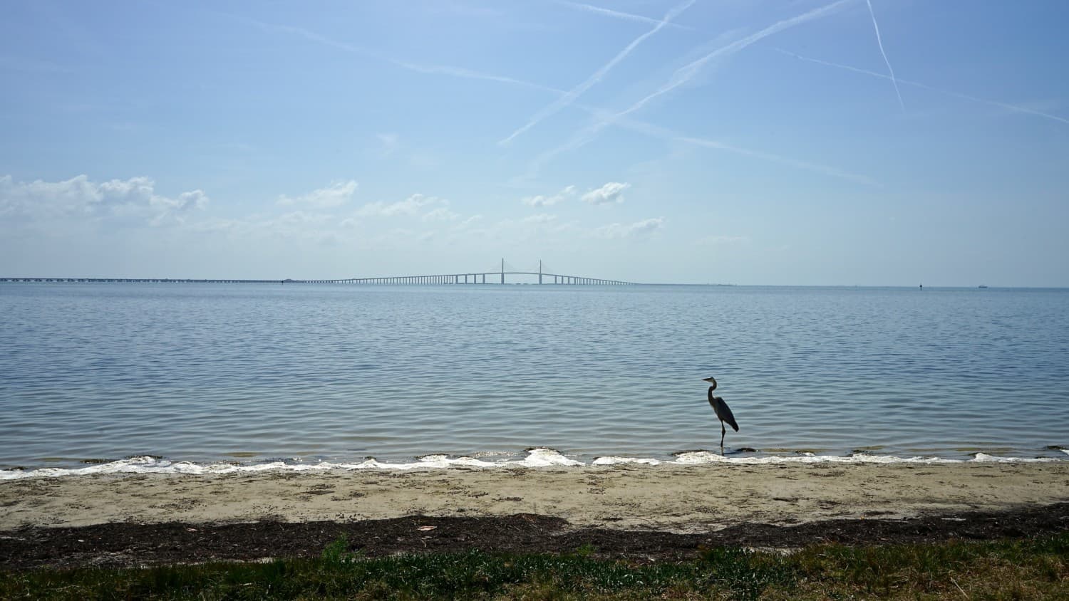 Florida's Top Pet Friendly Attraction: Fort De Soto Park and Dog Beach | GoPetFriendly.com