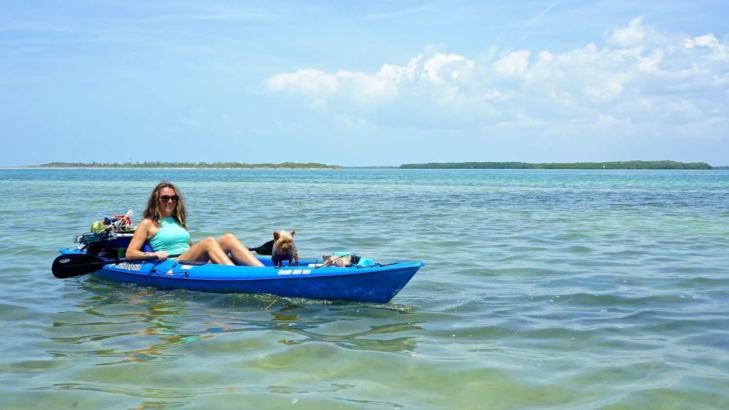 Florida's Top Pet Friendly Attraction: Fort De Soto Park and Dog Beach | GoPetFriendly.com