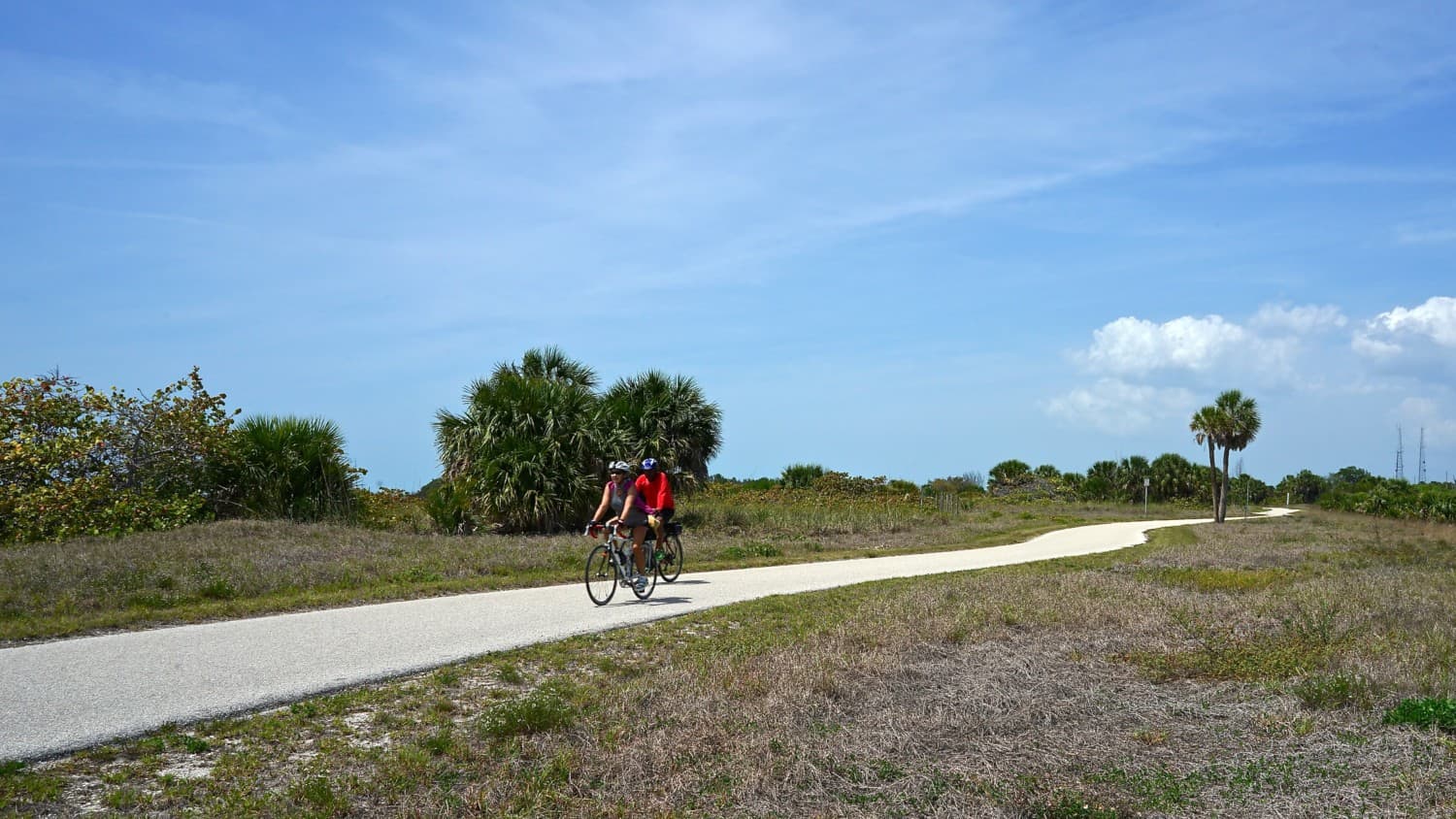 Florida's Top Pet Friendly Attraction: Fort De Soto Park and Dog Beach | GoPetFriendly.com