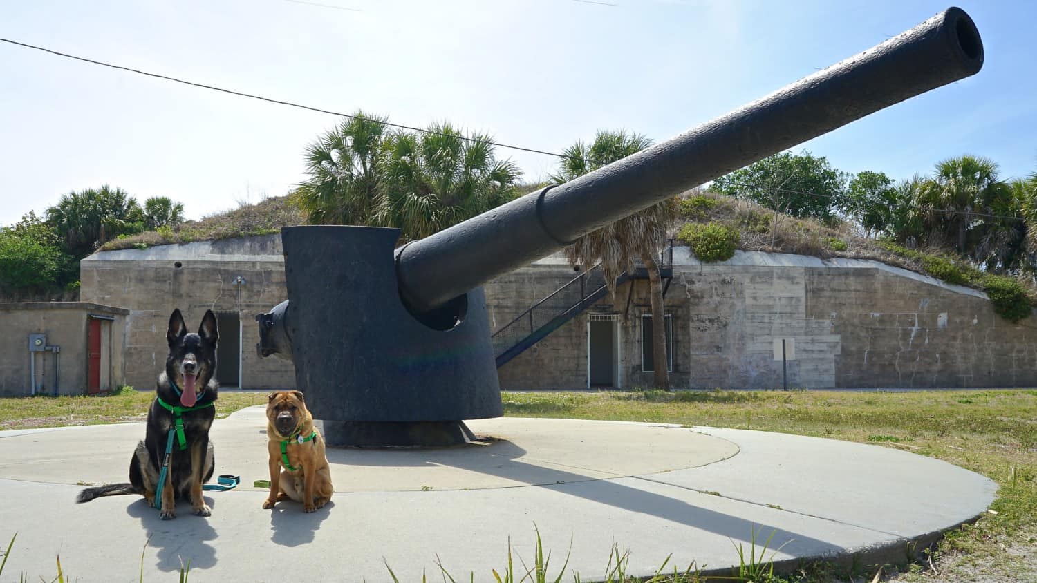 Florida's Top Pet Friendly Attraction: Fort De Soto Park and Dog Beach | GoPetFriendly.com