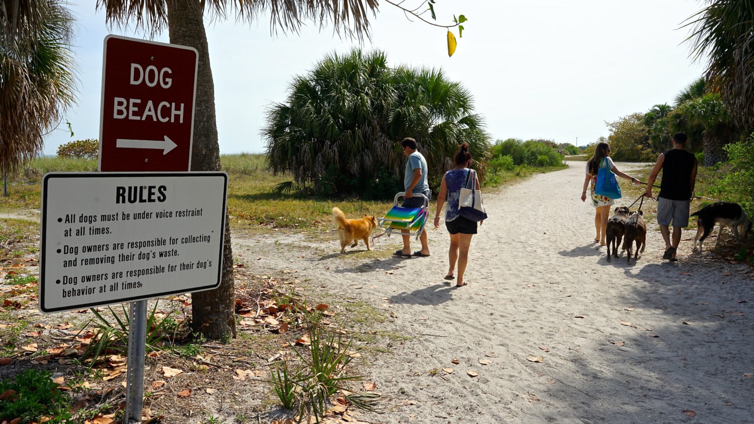 Florida's Top Pet Friendly Attraction: Fort De Soto Park and Dog Beach | GoPetFriendly.com