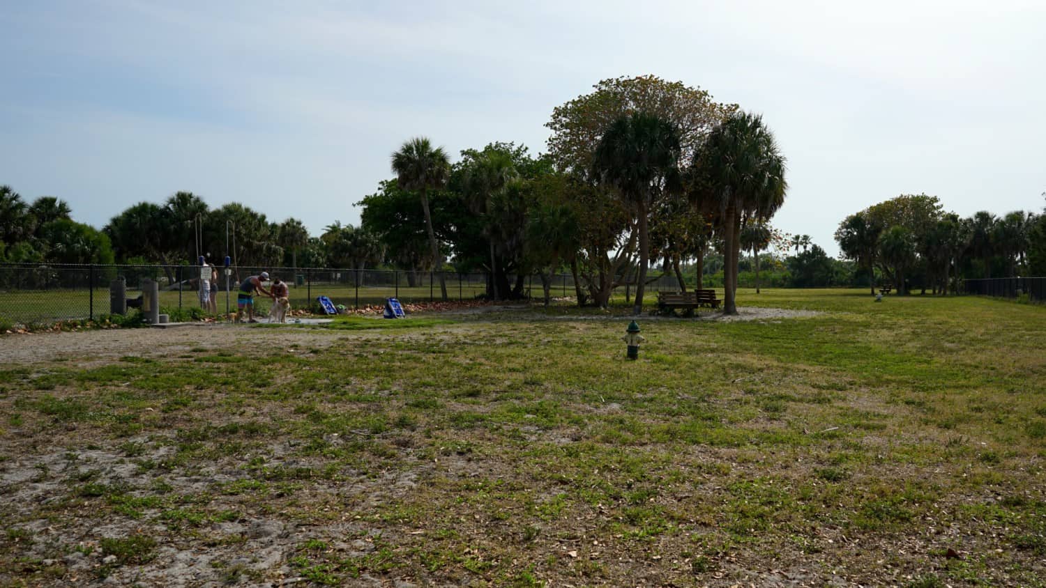 Florida's Top Pet Friendly Attraction: Fort De Soto Park and Dog Beach | GoPetFriendly.com