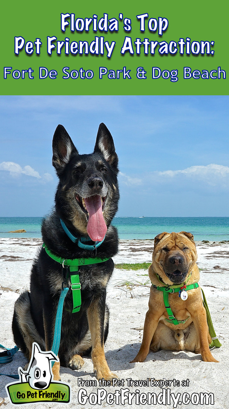 Florida's Top Pet Friendly Attraction: Fort De Soto Park and Dog Beach | GoPetFriendly.com