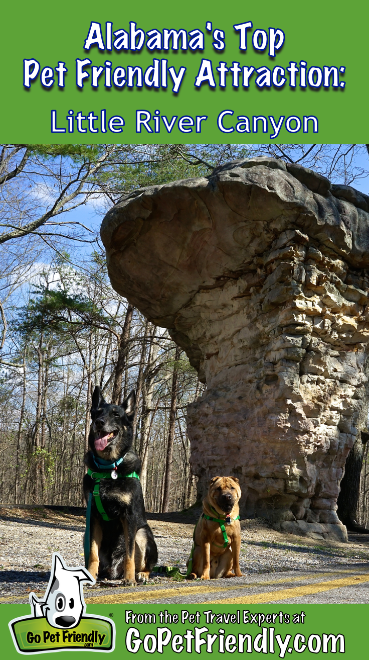 Alabama's Top Pet Friendly Attraction: Little River Canyon | GoPetFriendly.com