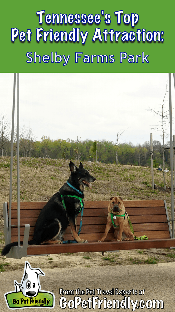 Tennessee's Top Pet Friendly Attraction: Shelby Farms Park | GoPetFriendly.com