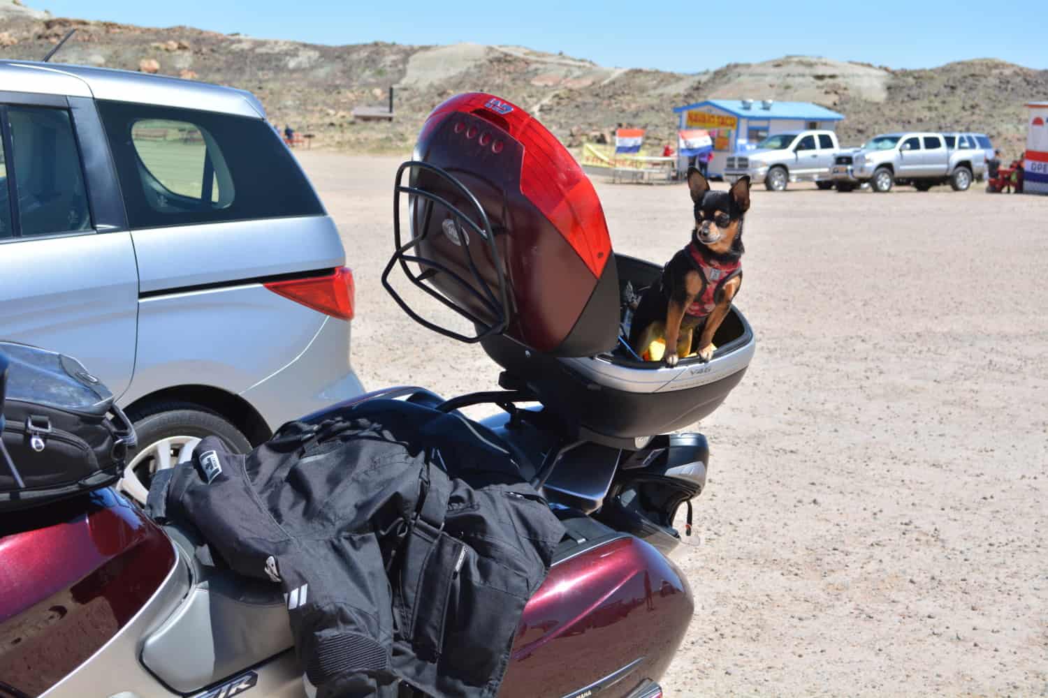 Louer un camping-car pour des vacances avec chien