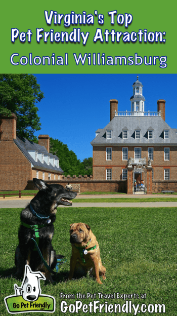 Virginia's Top Pet Friendly Attraction: Colonial Williamsburg | GoPetFriendly.com