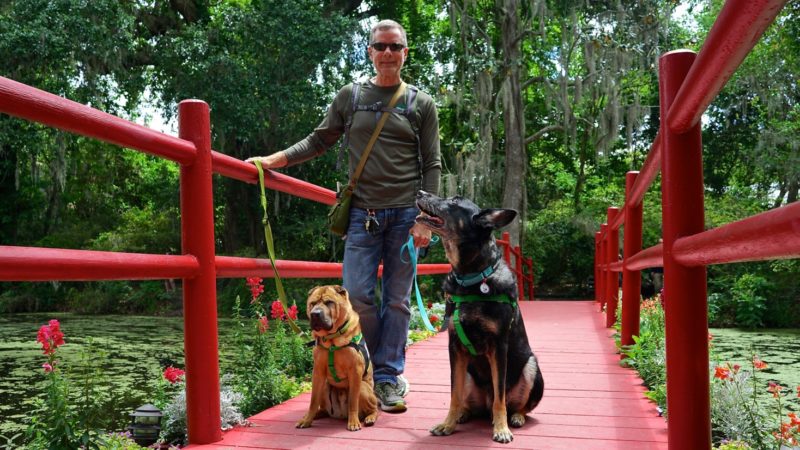 South Carolina's Top Pet Friendly Attraction: Magnolia Plantation & Gardens | GoPetFriendly.com