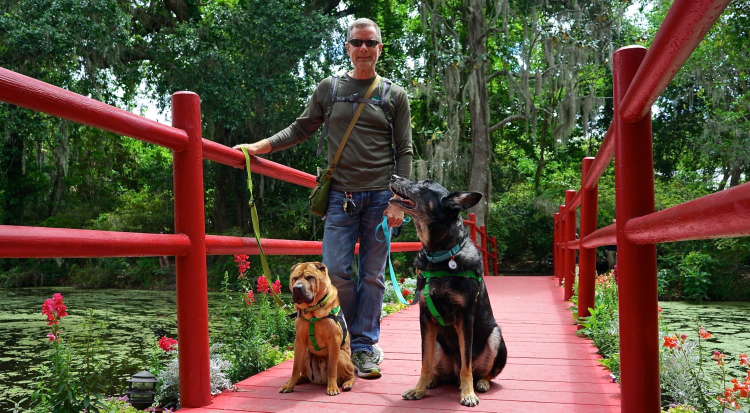 South Carolina's Top Pet Friendly Attraction: Magnolia Plantation & Gardens | GoPetFriendly.com