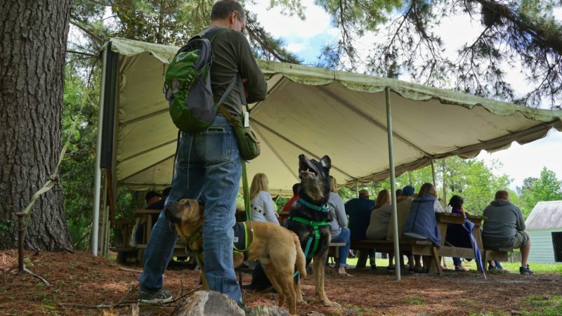 South Carolina's Top Pet Friendly Attraction: Magnolia Plantation & Gardens | GoPetFriendly.com