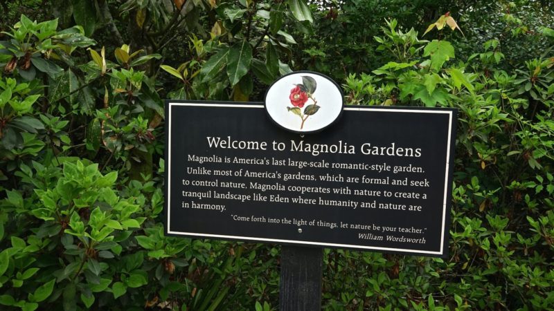 South Carolina's Top Pet Friendly Attraction: Magnolia Plantation & Gardens | GoPetFriendly.com