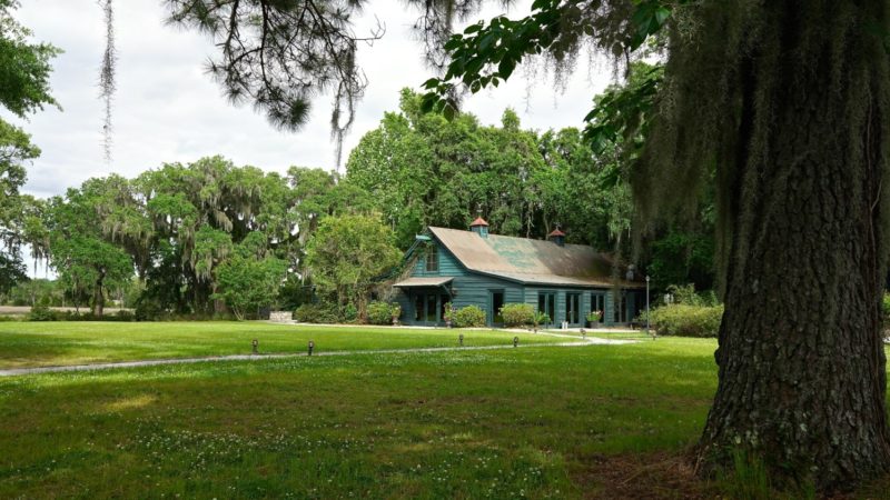 South Carolina's Top Pet Friendly Attraction: Magnolia Plantation & Gardens | GoPetFriendly.com