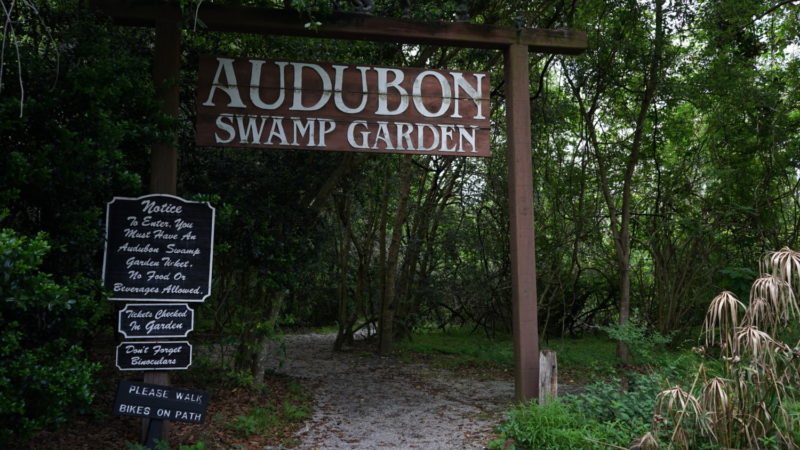South Carolinas Top Pet Friendly Attraction Magnolia Plantation Gardens