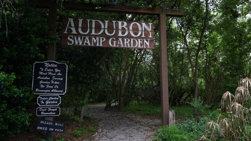 South Carolina's Top Pet Friendly Attraction: Magnolia Plantation & Gardens | GoPetFriendly.com