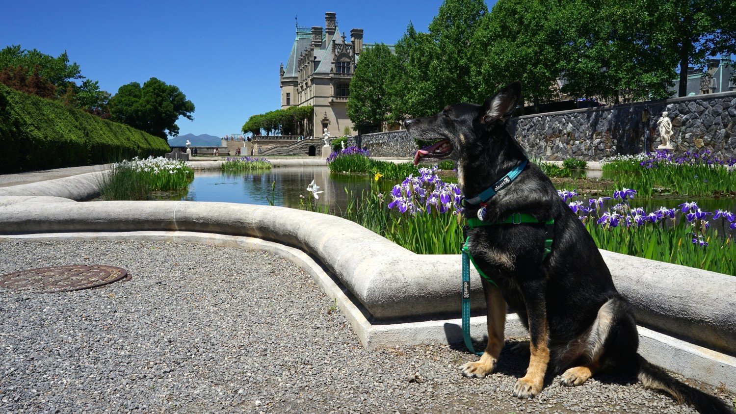 North Carolina's Top Pet Friendly Attraction: Biltmore Estate | GoPetFriendly.com