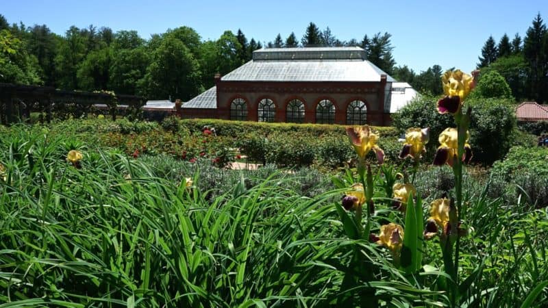 North Carolina's Top Pet Friendly Attraction: Biltmore Estate | GoPetFriendly.com