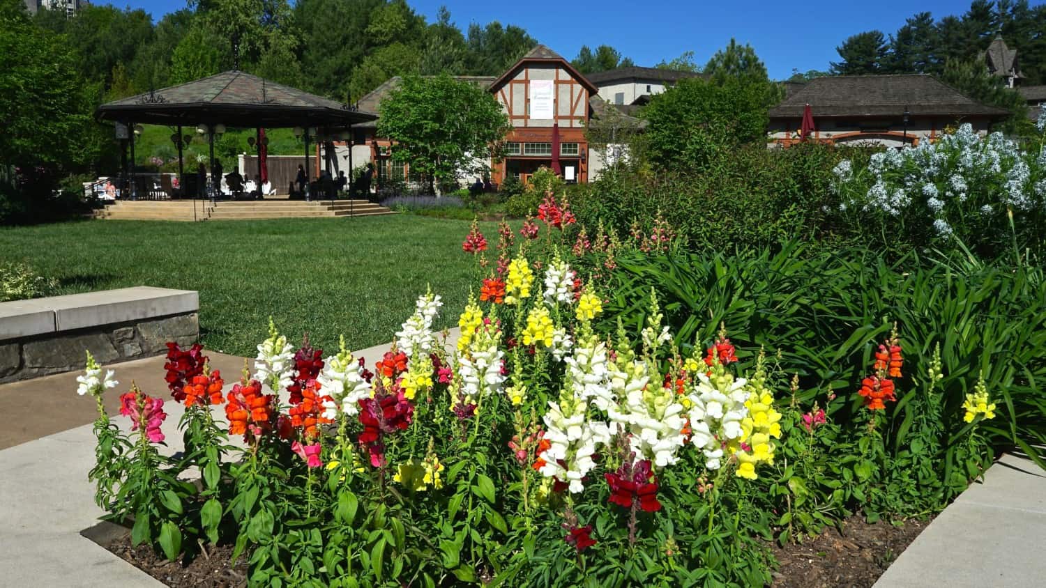 North Carolina's Top Pet Friendly Attraction: Biltmore Estate | GoPetFriendly.com