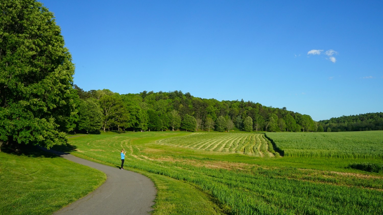 North Carolina's Top Pet Friendly Attraction: Biltmore Estate | GoPetFriendly.com