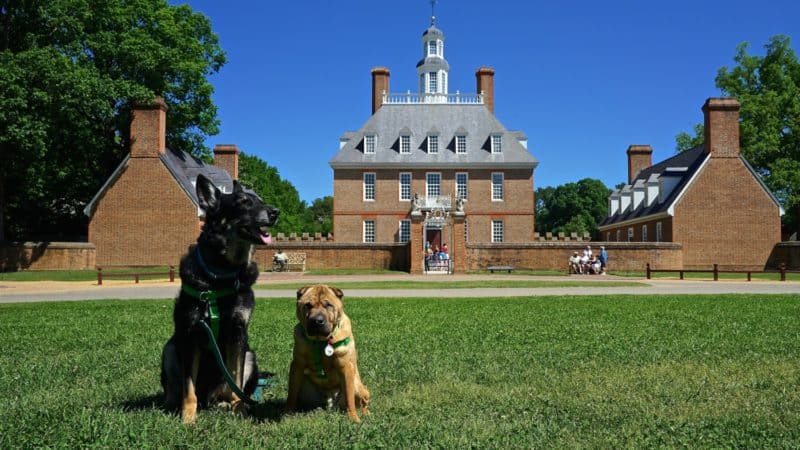 Virginia's Top Pet Friendly Attraction: Colonial Williamsburg | GoPetFriendly.com