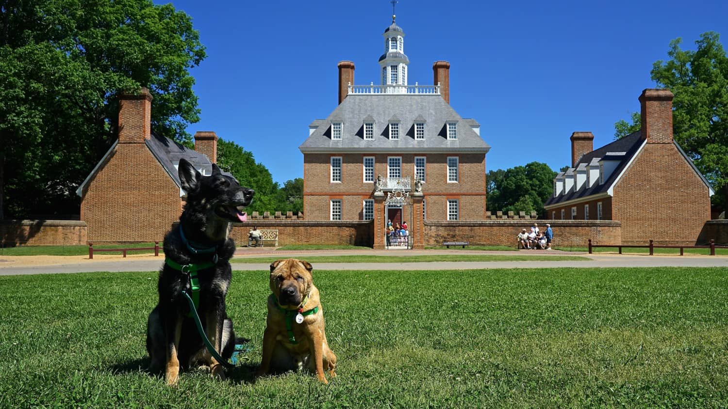 Virginia S Top Pet Friendly Attraction