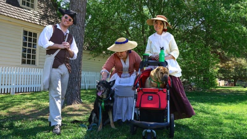 Virginia's Top Pet Friendly Attraction: Colonial Williamsburg | GoPetFriendly.com