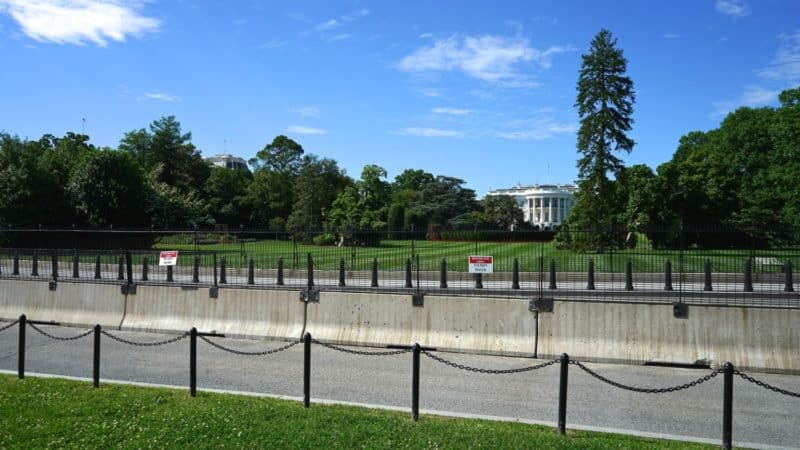 Washington D.C.'s Top Pet Friendly Attractions: The National Mall | GoPetFriendly.com