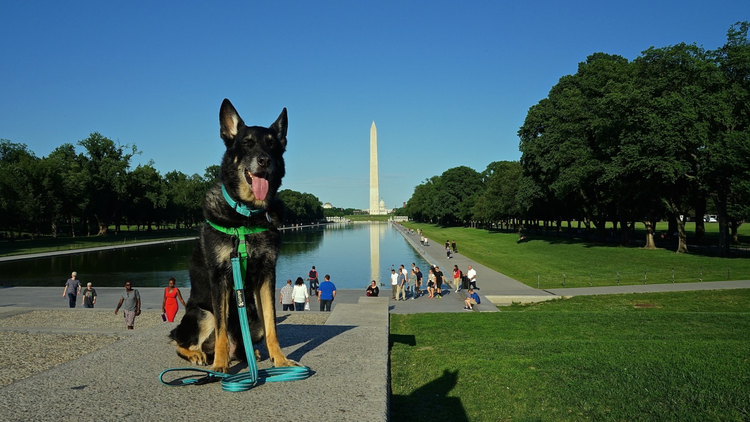 Washington D.C.'s Top Pet Friendly Attractions: The National Mall | GoPetFriendly.com