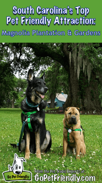 South Carolina's Top Pet Friendly Attraction: Magnolia Plantation & Gardens | GoPetFriendly.com