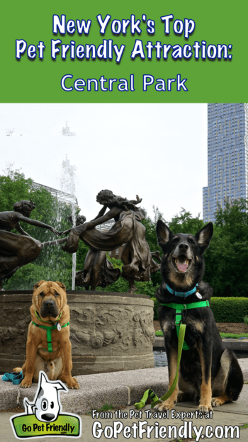 New York's Top Pet Friendly Attraction: Central Park | GoPetFriendly.com