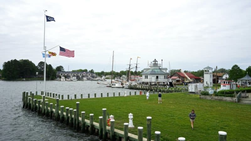 Maryland's Top Pet Friendly Attraction: The Chesapeake Bay | GoPetFriendly.com