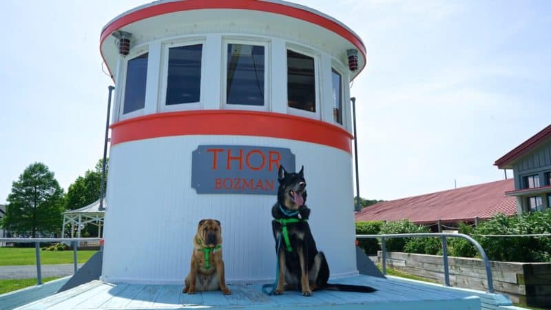 Maryland's Top Pet Friendly Attraction: The Chesapeake Bay | GoPetFriendly.com