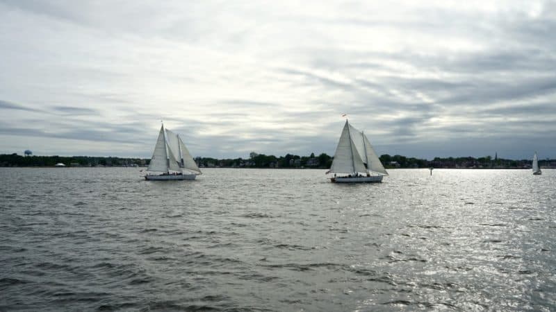 Maryland's Top Pet Friendly Attraction: The Chesapeake Bay | GoPetFriendly.com