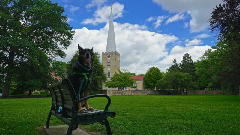 Delaware's Top Pet Friendly Attraction: Historic New Castle | GoPetFriendly.com