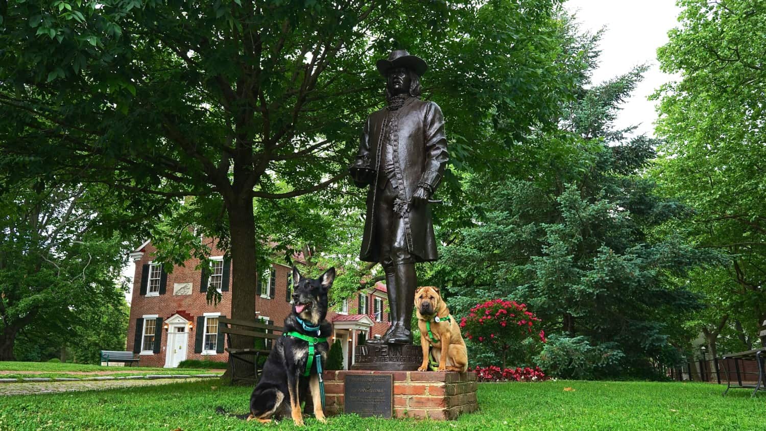 Delaware's Top Pet Friendly Attraction: Historic New Castle