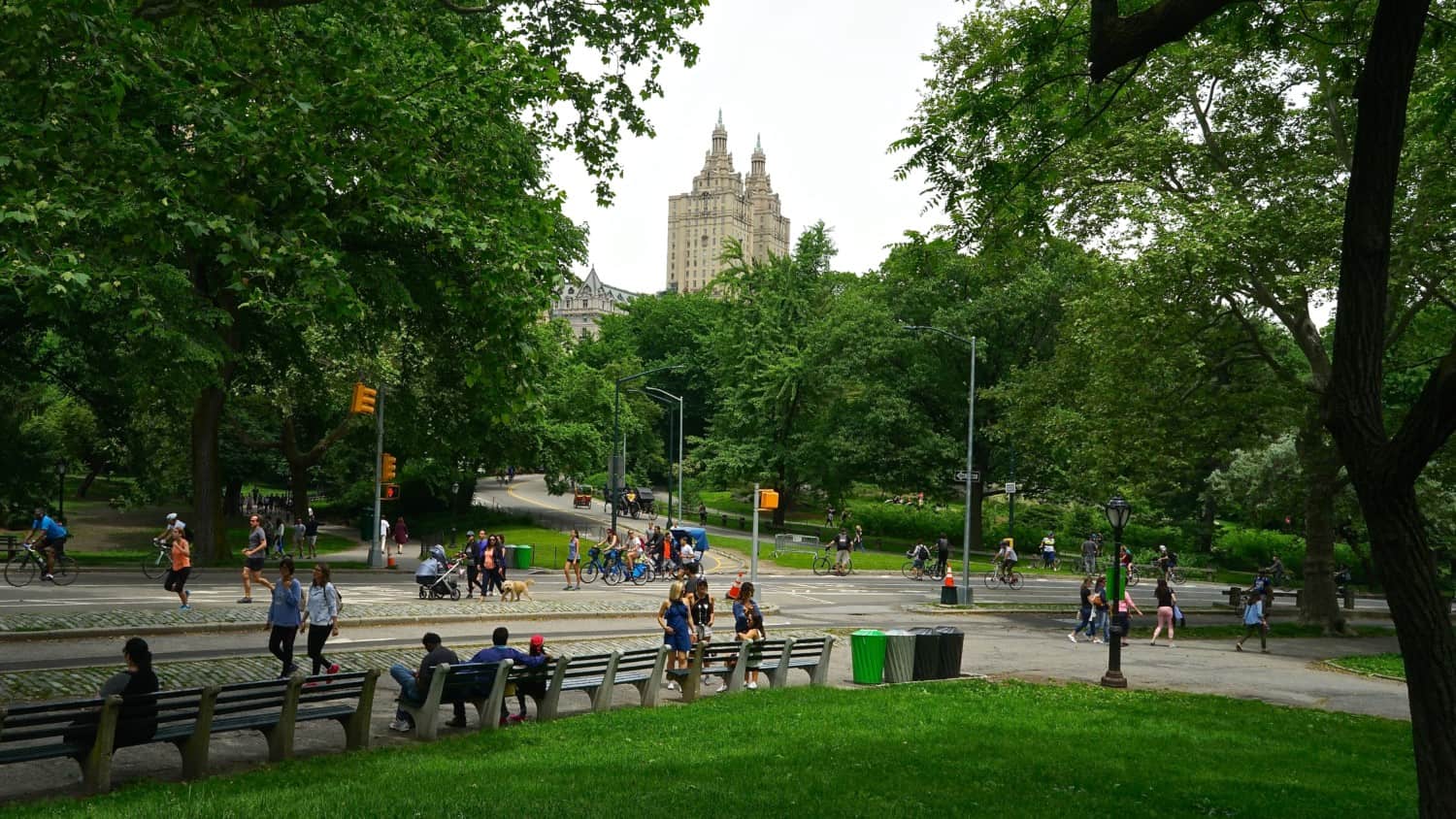 New York's Top Pet Friendly Attraction: Central Park